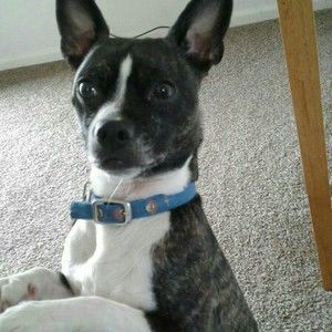 Meet your Posher, Cheryl